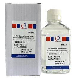 10×Tris-甘氨酸轉(zhuǎn)膜緩沖液（濕轉(zhuǎn)，溶液型）