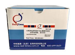 3-8% RealPAGE Tris-醋酸預(yù)制膠 U型玻璃板