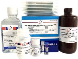 Tris-醋酸-SDS-PAGE電泳試劑盒（變性電泳，含預(yù)制膠）