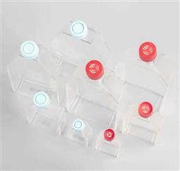 175cm2培養(yǎng)瓶 濾膜蓋