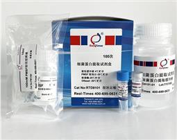 細(xì)菌蛋白提取試劑盒