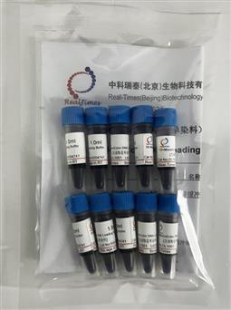 10×DNA上樣緩沖液（單染料）
