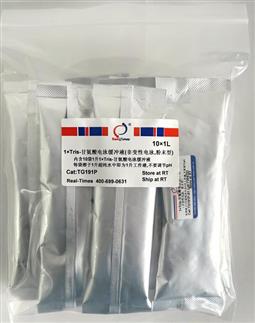 1×Tris-甘氨酸電泳緩沖液（非變性電泳，粉末型）