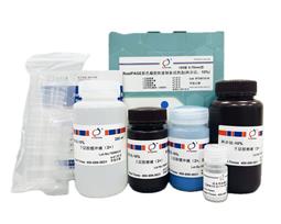 RealPAGE 彩色PAGE凝膠快速制備試劑盒（一步法）7.5%