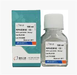 RIPA裂解液（強(qiáng)）